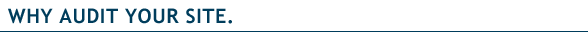 Why Audit Your Site
